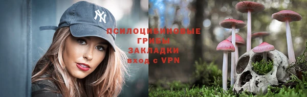 эйфоретик Армянск