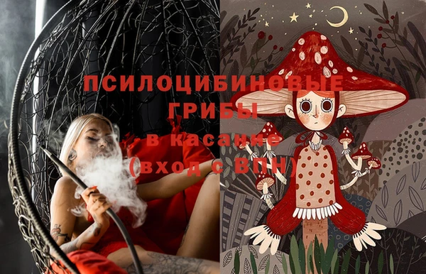 гашик Аркадак