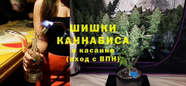трава Арсеньев