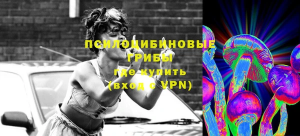 гашик Аркадак