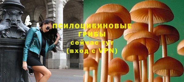 трава Арсеньев