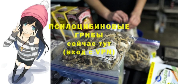 ПСИЛОЦИБИНОВЫЕ ГРИБЫ Алексеевка
