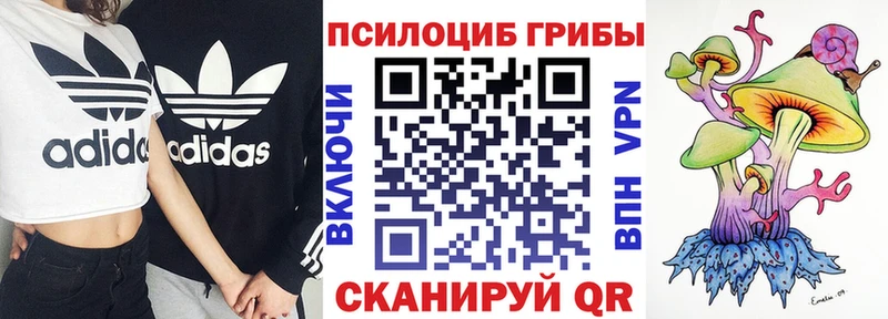дарк нет телеграм  Новотроицк  Псилоцибиновые грибы Magic Shrooms 